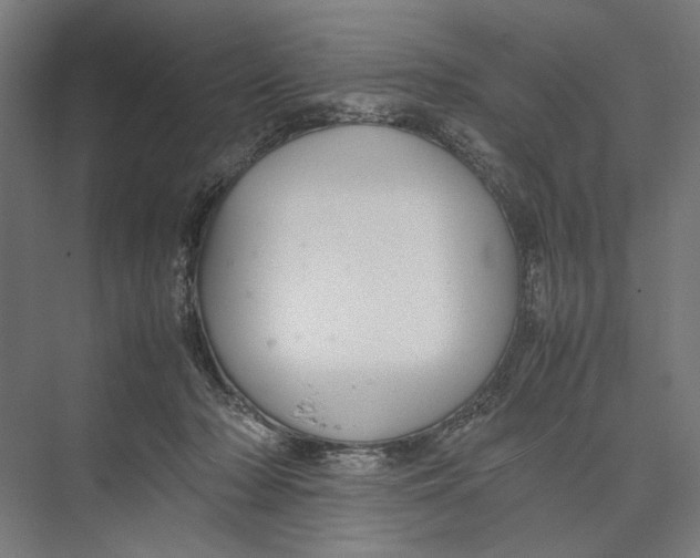 X0000075380318200610061845