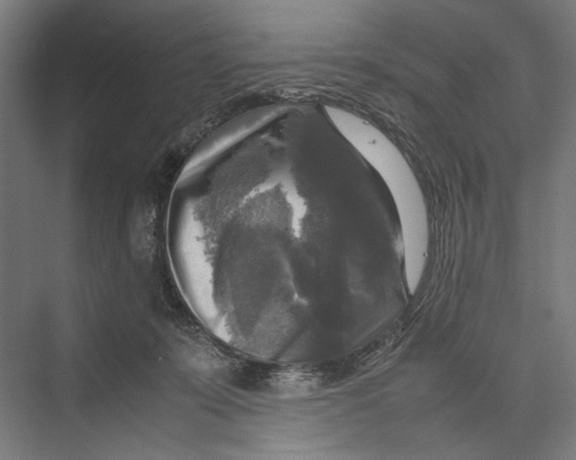 X0000075380319200610061845