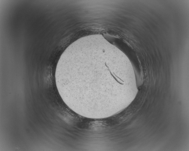 X0000075380320200610061845