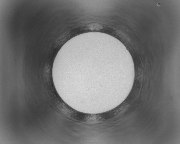 X0000075380321200610061845