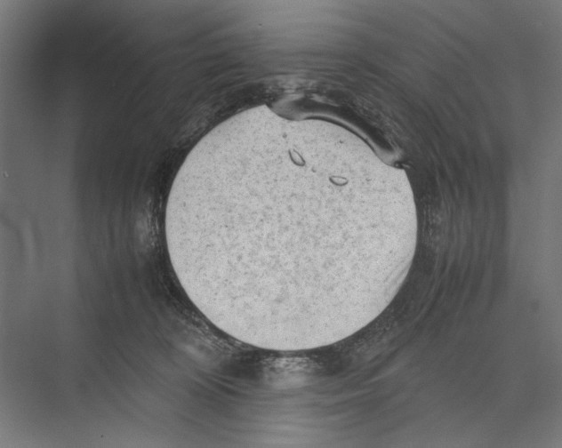 X0000075380324200610061845