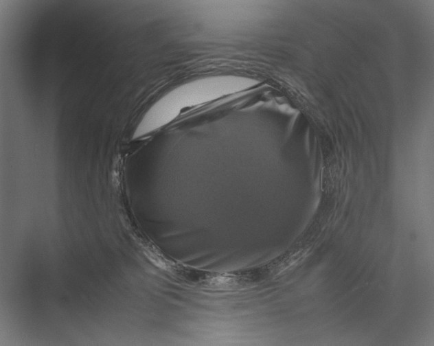 X0000075380325200610061845