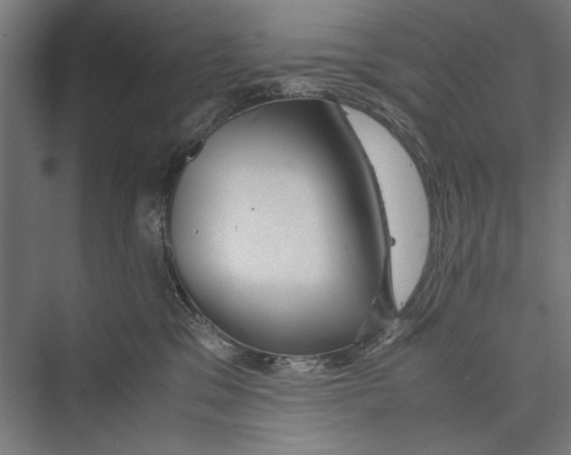 X0000075380329200610061845