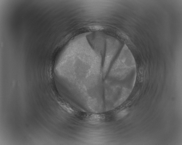 X0000075380330200610061845