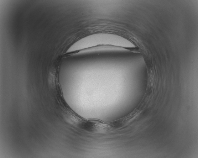 X0000075380333200610061845