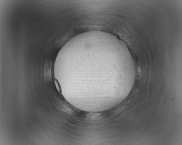 X0000075380334200610061845