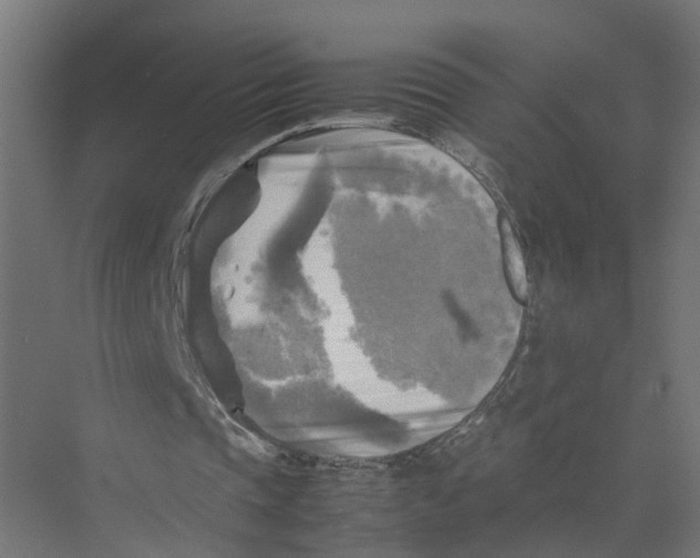 X0000075380337200610061844