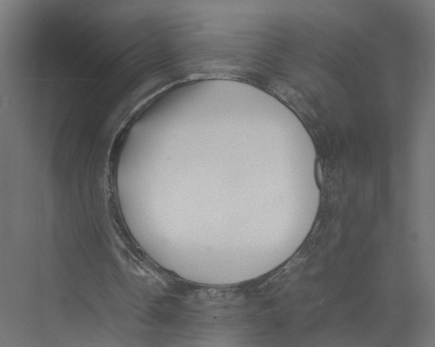 X0000075380338200610061844