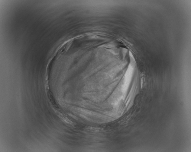 X0000075380339200610061844