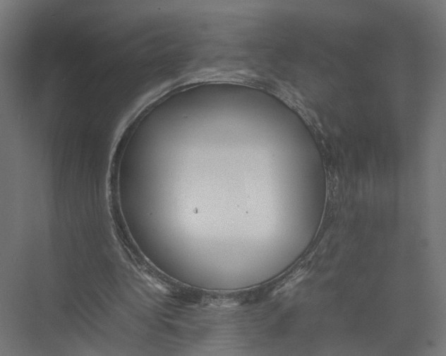 X0000075380340200610061844