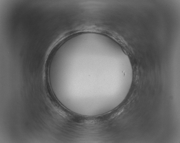 X0000075380344200610061844