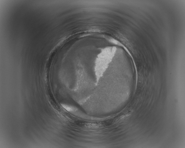 X0000075380347200610061844