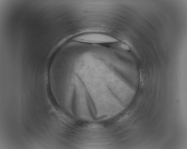 X0000075380348200610061844