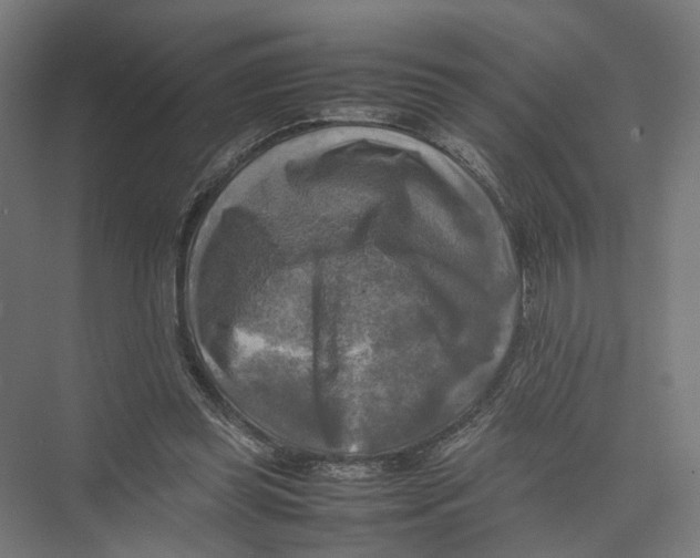 X0000075380349200610061844