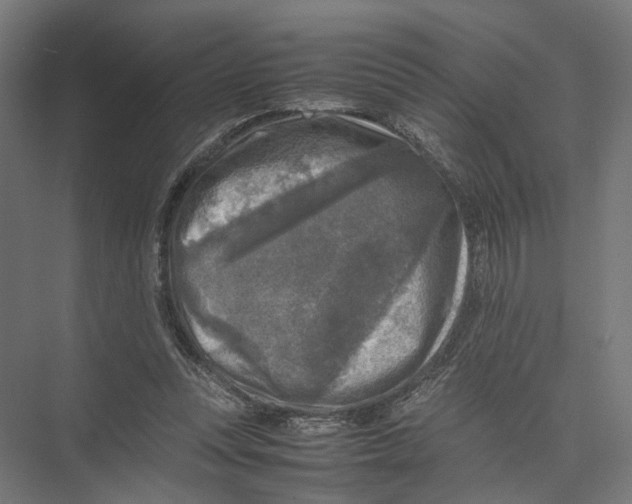 X0000075380351200610061845