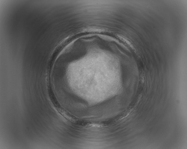 X0000075380352200610061845