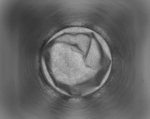 X0000075380354200610061845