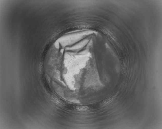 X0000075380355200610061845