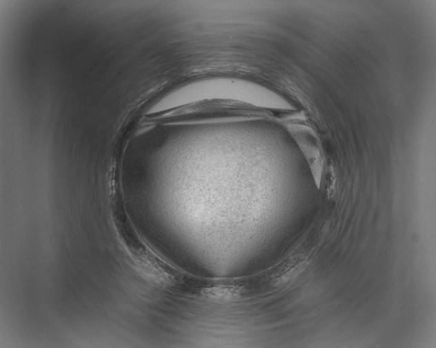 X0000075380356200610061845