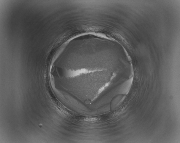 X0000075380357200610061845