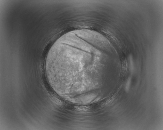 X0000075380359200610061845