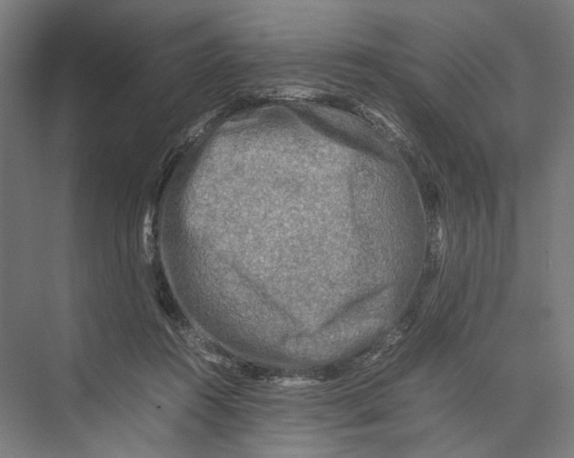 X0000075380360200610061845