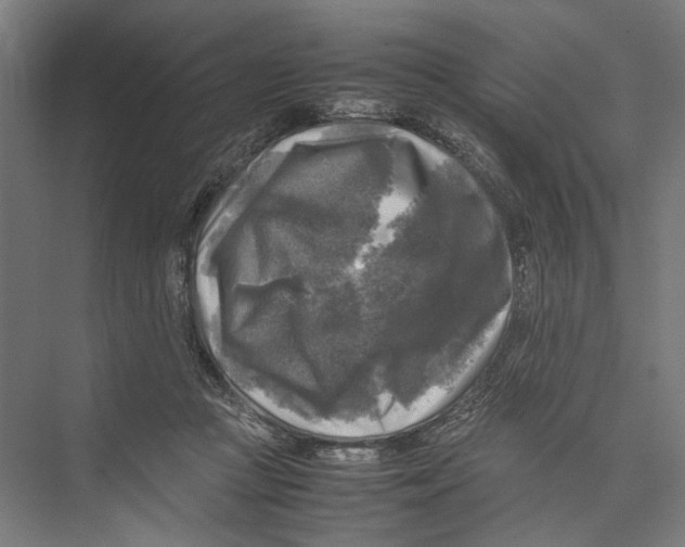 X0000075380361200610061845