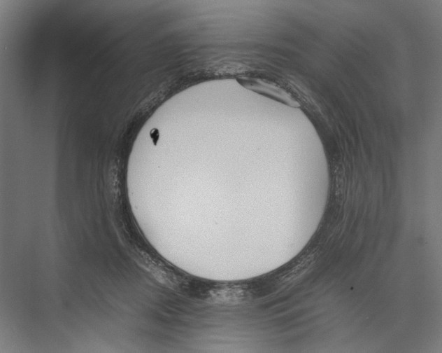 X0000075380362200610061845