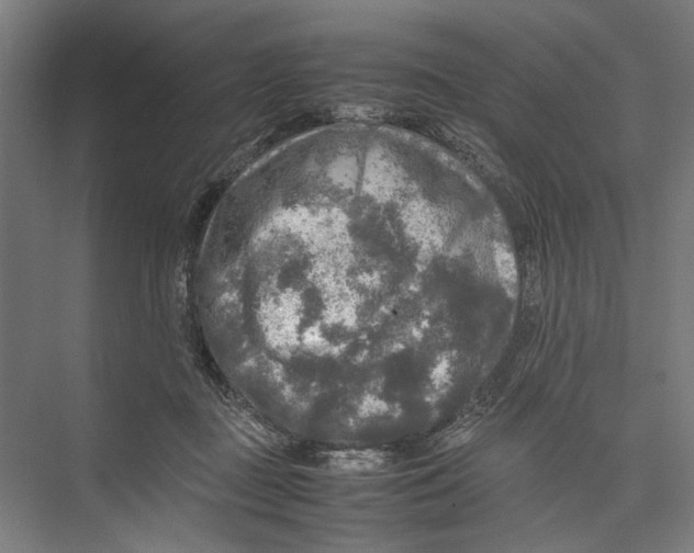 X0000075380363200610061845