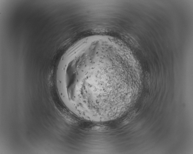 X0000075380364200610061845