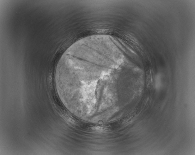 X0000075380365200610061845