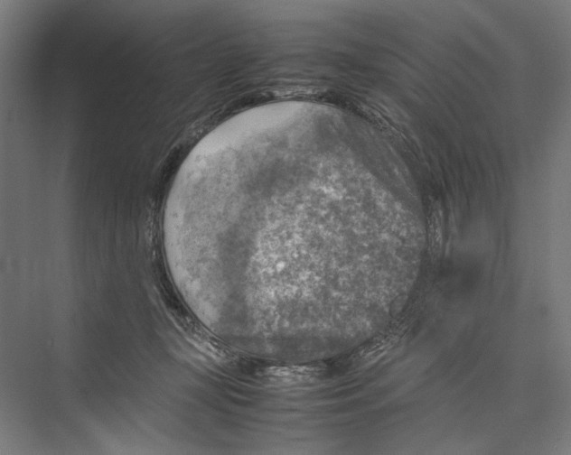 X0000075380367200610061845