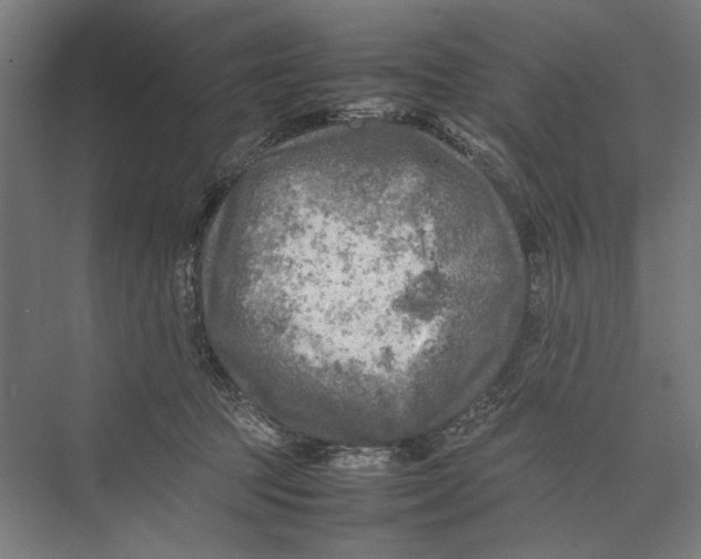 X0000075380369200610061845