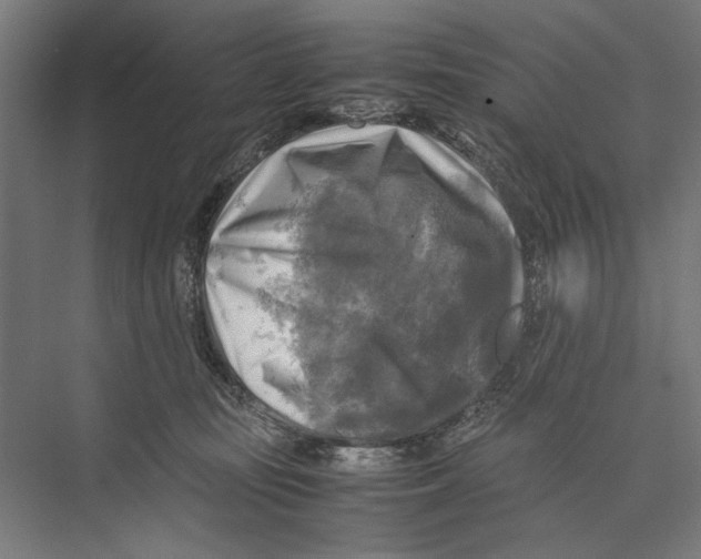 X0000075380371200610061845