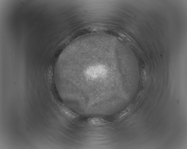 X0000075380372200610061845