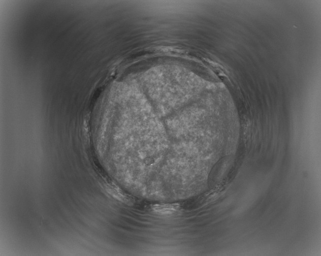 X0000075380373200610061845