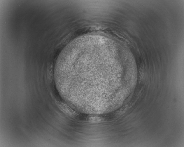 X0000075380376200610061845