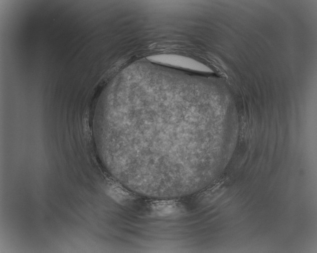 X0000075380377200610061845