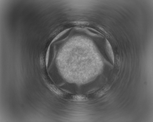 X0000075380380200610061845