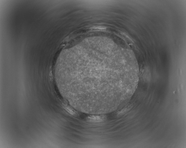 X0000075380381200610061845