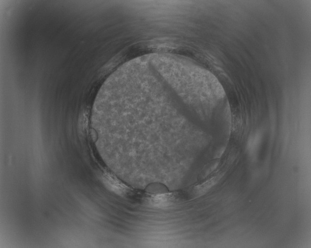 X0000075380382200610061845