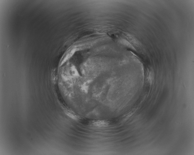 X0000075380383200610061845