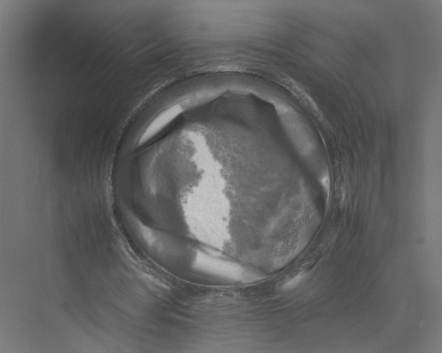 X0000075380386200610061844