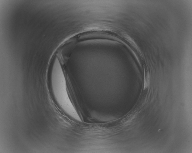 X0000075380387200610061844