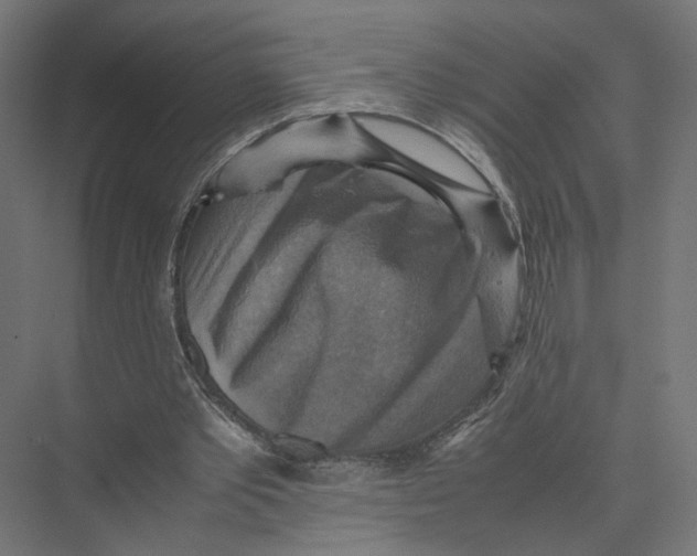 X0000075380389200610061844