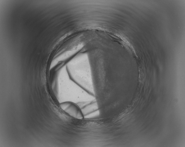 X0000075380390200610061844