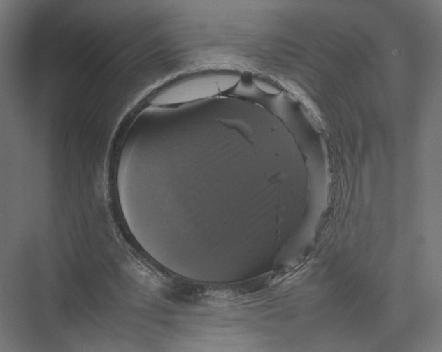 X0000075380391200610061844