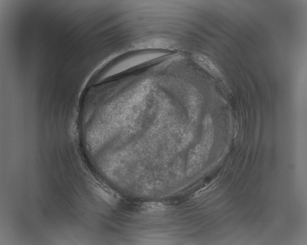 X0000075380392200610061844