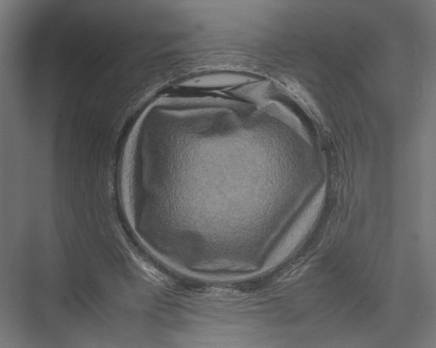 X0000075380393200610061844