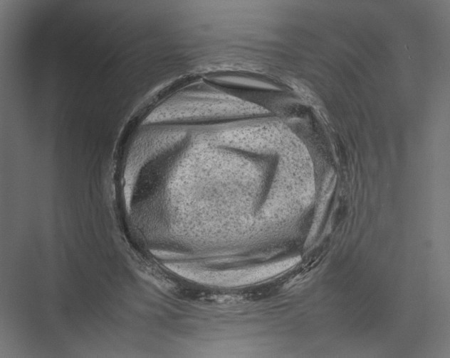 X0000075380395200610061844